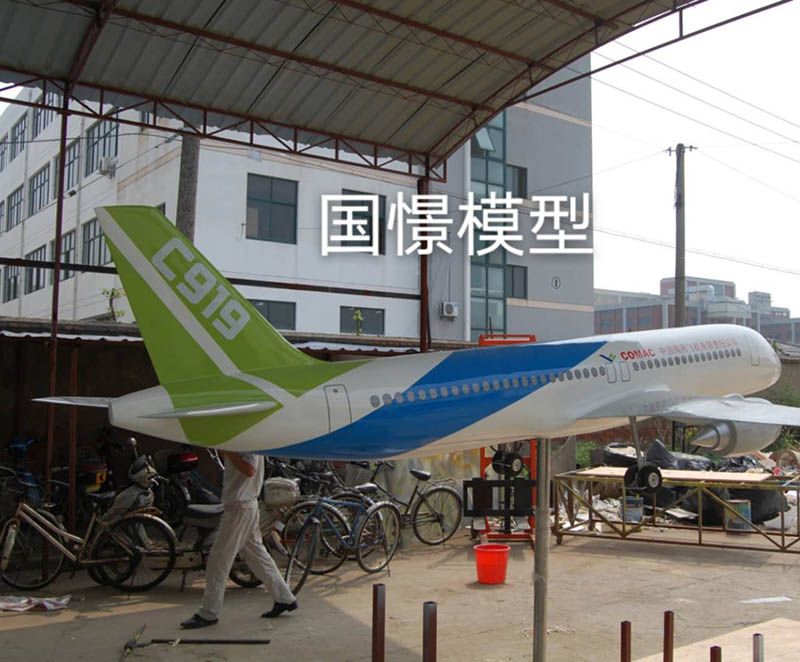 三门县飞机模型