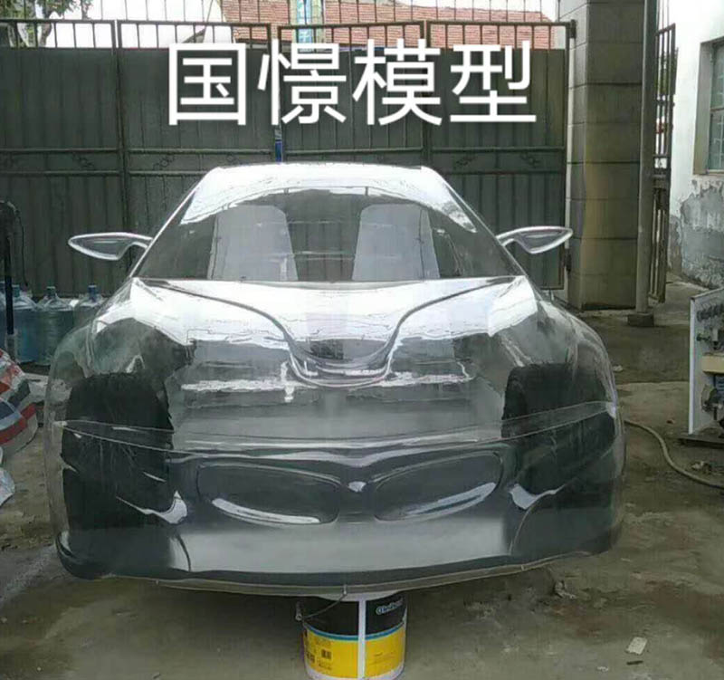 三门县透明车模型